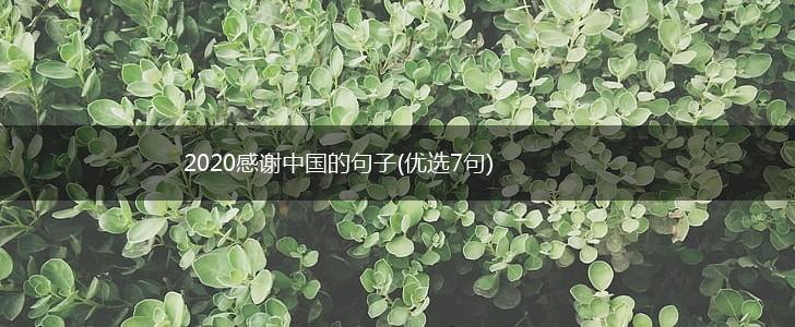 2020感谢中国的句子(优选7句),第1张