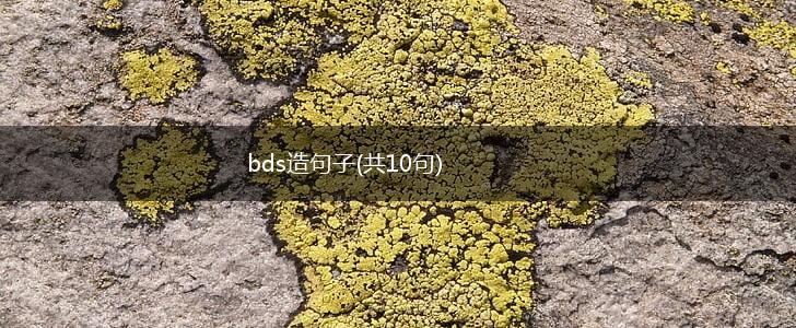 bds造句子(共10句),第1张