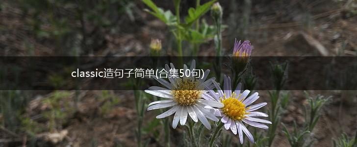 classic造句子简单(合集50句),第1张