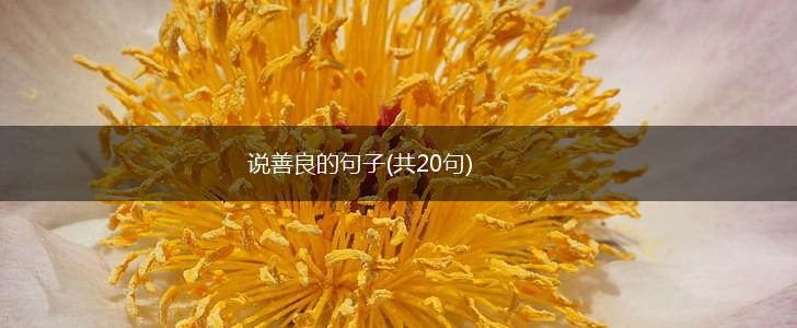 说善良的句子(共20句),第1张