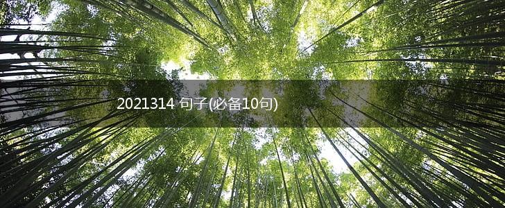 2021314 句子(必备10句),第1张