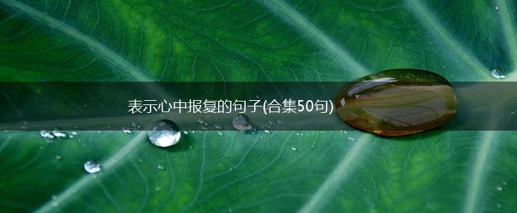 表示心中报复的句子(合集50句),第1张