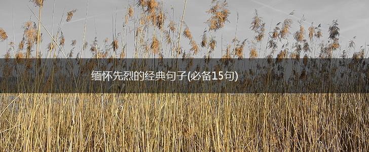缅怀先烈的经典句子(必备15句),第1张