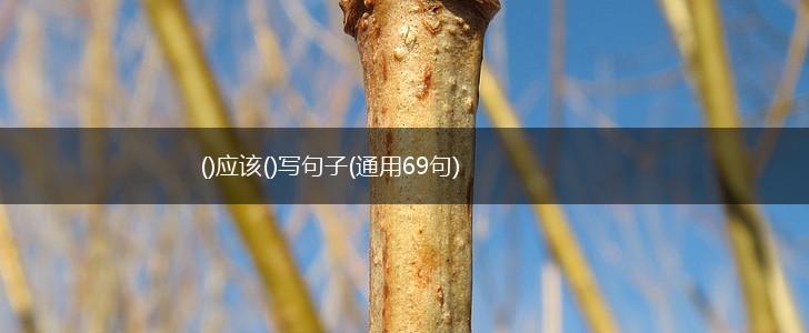 ()应该()写句子(通用69句),第1张