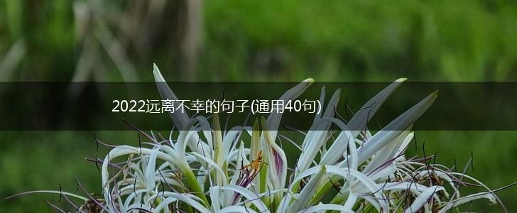 2022远离不幸的句子(通用40句),第1张