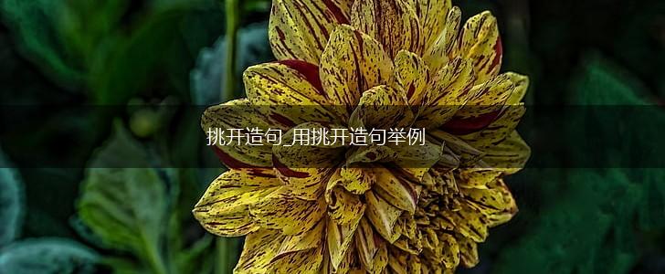 挑开造句_用挑开造句举例,第1张