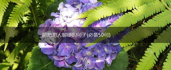 能把男人聊硬的句子(必备50句),第1张