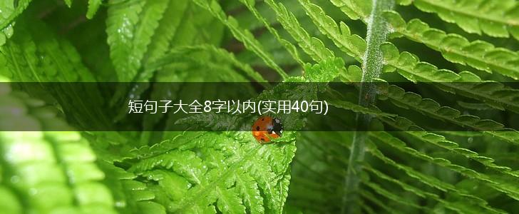 短句子大全8字以内(实用40句),第1张