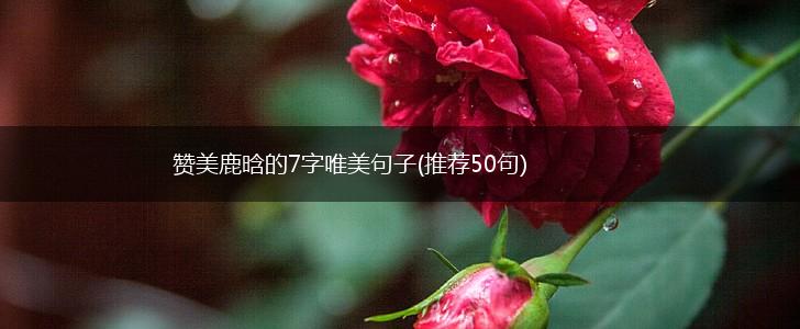 赞美鹿晗的7字唯美句子(推荐50句),第1张