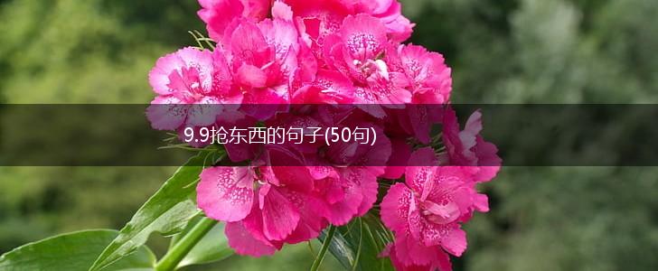 9.9抢东西的句子(50句),第1张