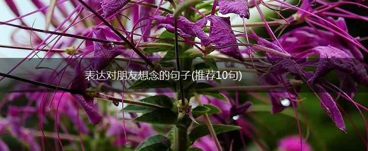 表达对朋友想念的句子(推荐10句),第1张