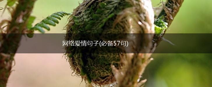 网络爱情句子(必备57句),第1张