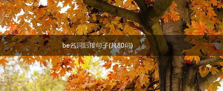 be名词后接句子(共80句),第1张