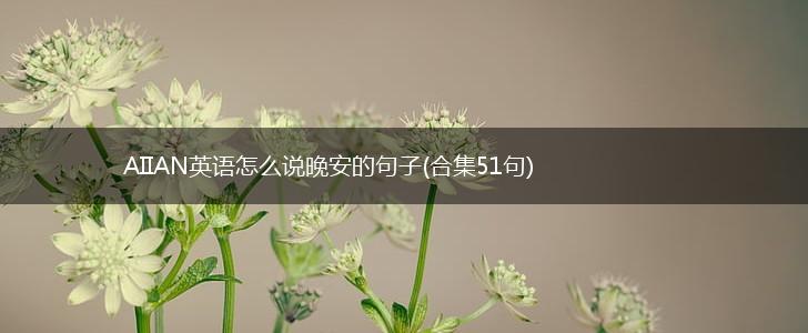 AIIAN英语怎么说晚安的句子(合集51句),第1张