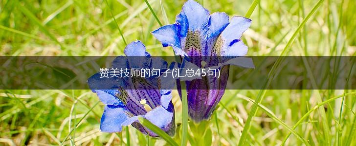 赞美技师的句子(汇总45句),第1张