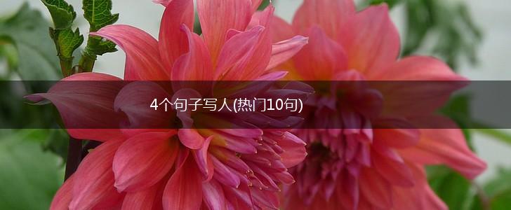 4个句子写人(热门10句),第1张