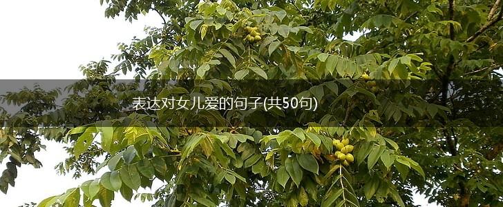 表达对女儿爱的句子(共50句),第1张