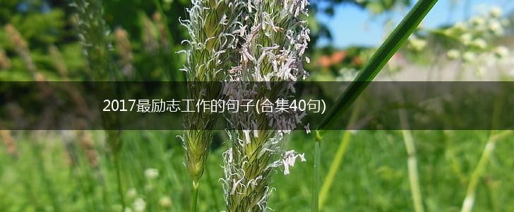 2017最励志工作的句子(合集40句),第1张