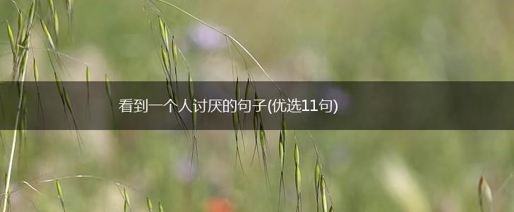 看到一个人讨厌的句子(优选11句),第1张