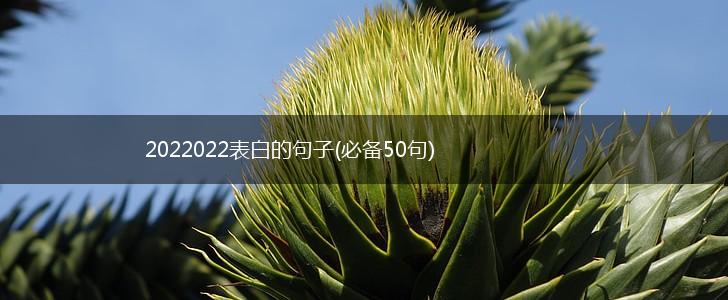 2022022表白的句子(必备50句),第1张