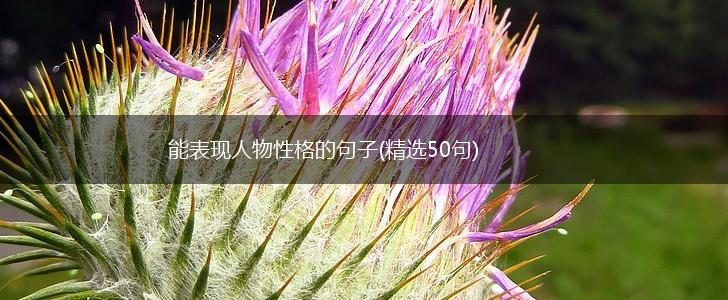 能表现人物性格的句子(精选50句),第1张