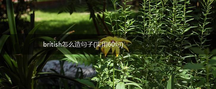 british怎么造句子(实用60句),第1张