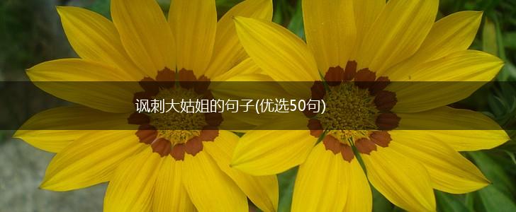 讽刺大姑姐的句子(优选50句),第1张