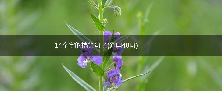 14个字的搞笑句子(通用40句),第1张