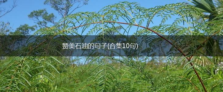 赞美石油的句子(合集10句),第1张