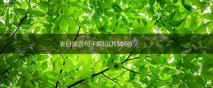 表白留言句子简短(共50句),第1张