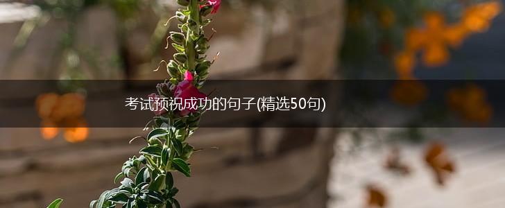 考试预祝成功的句子(精选50句),第1张