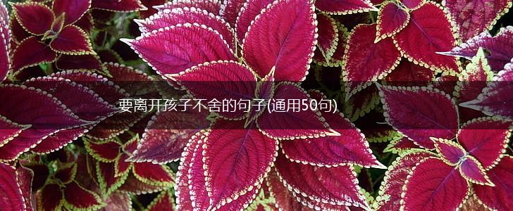 要离开孩子不舍的句子(通用50句),第1张