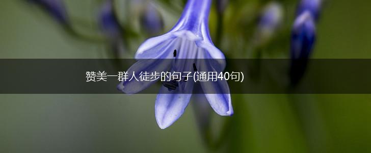 赞美一群人徒步的句子(通用40句),第1张