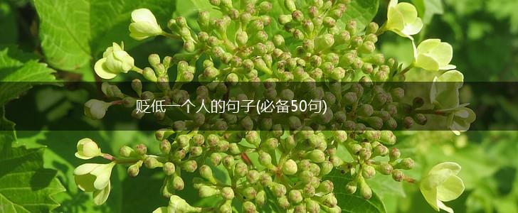 贬低一个人的句子(必备50句),第1张