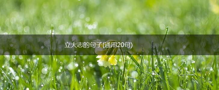 立大志的句子(通用20句),第1张