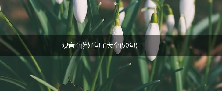观音菩萨好句子大全(50句),第1张