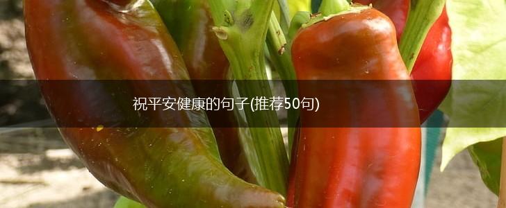 祝平安健康的句子(推荐50句),第1张