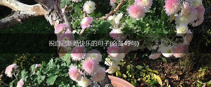 祝自己新婚快乐的句子(必备49句),第1张