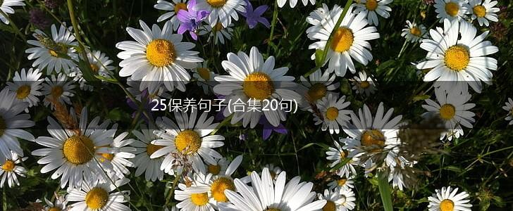 25保养句子(合集20句),第1张