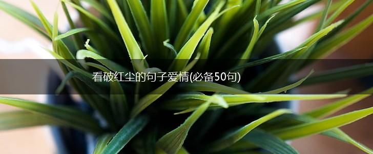 看破红尘的句子爱情(必备50句),第1张