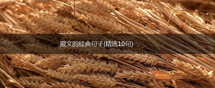 藏文的经典句子(精选10句),第1张