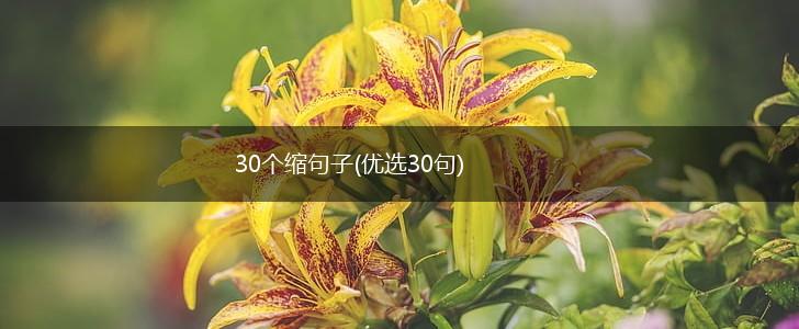 30个缩句子(优选30句),第1张