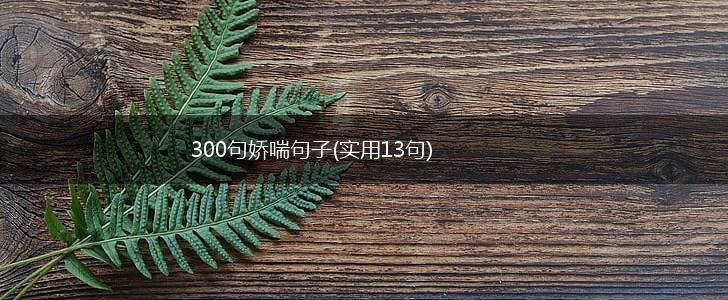 300句娇喘句子(实用13句),第1张