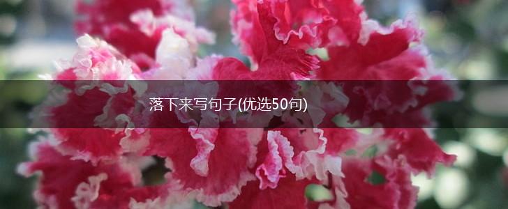 落下来写句子(优选50句),第1张
