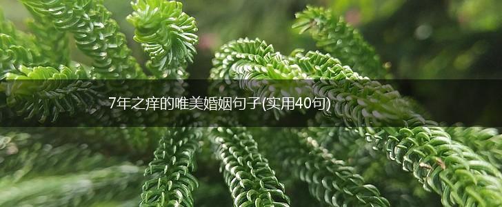 7年之痒的唯美婚姻句子(实用40句),第1张