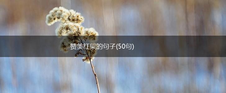 赞美红果的句子(50句),第1张