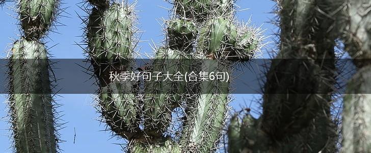 秋季好句子大全(合集6句),第1张