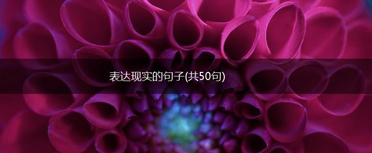 表达现实的句子(共50句),第1张