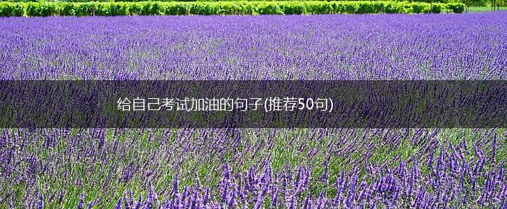 给自己考试加油的句子(推荐50句),第1张