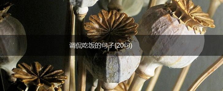 调侃吃饭的句子(20句),第1张